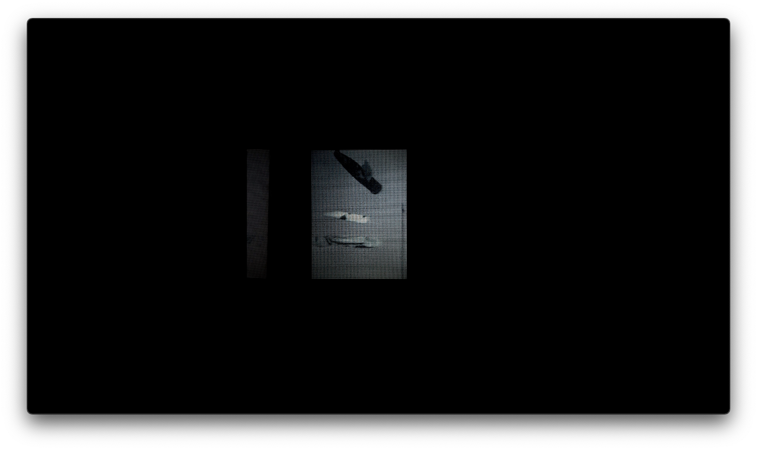 shadows (2024) - still