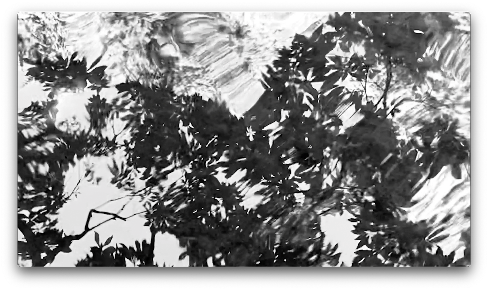 shadows (2024) - still