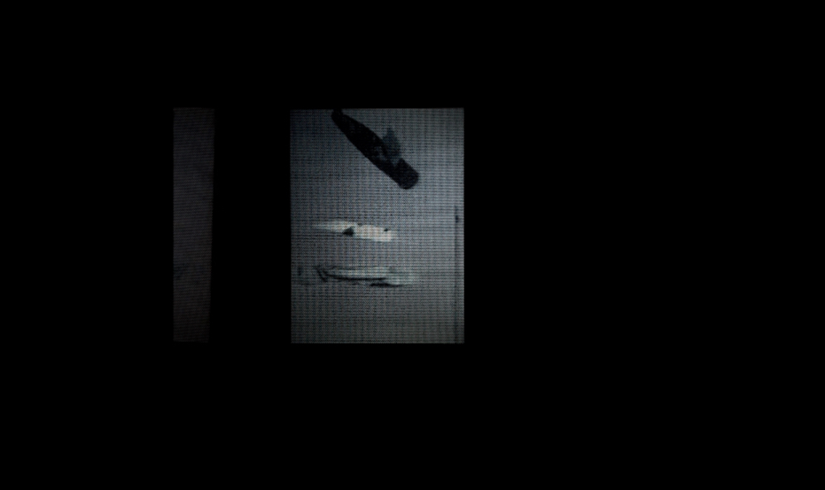 shadows_02 (2023)